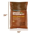 thumbnail image 4 of Pennington Sahara II Bermudagrass Penkoted Grass Seed 50 lb, Full Sun, Heat Tolerant, Quick Grow, 4 of 13