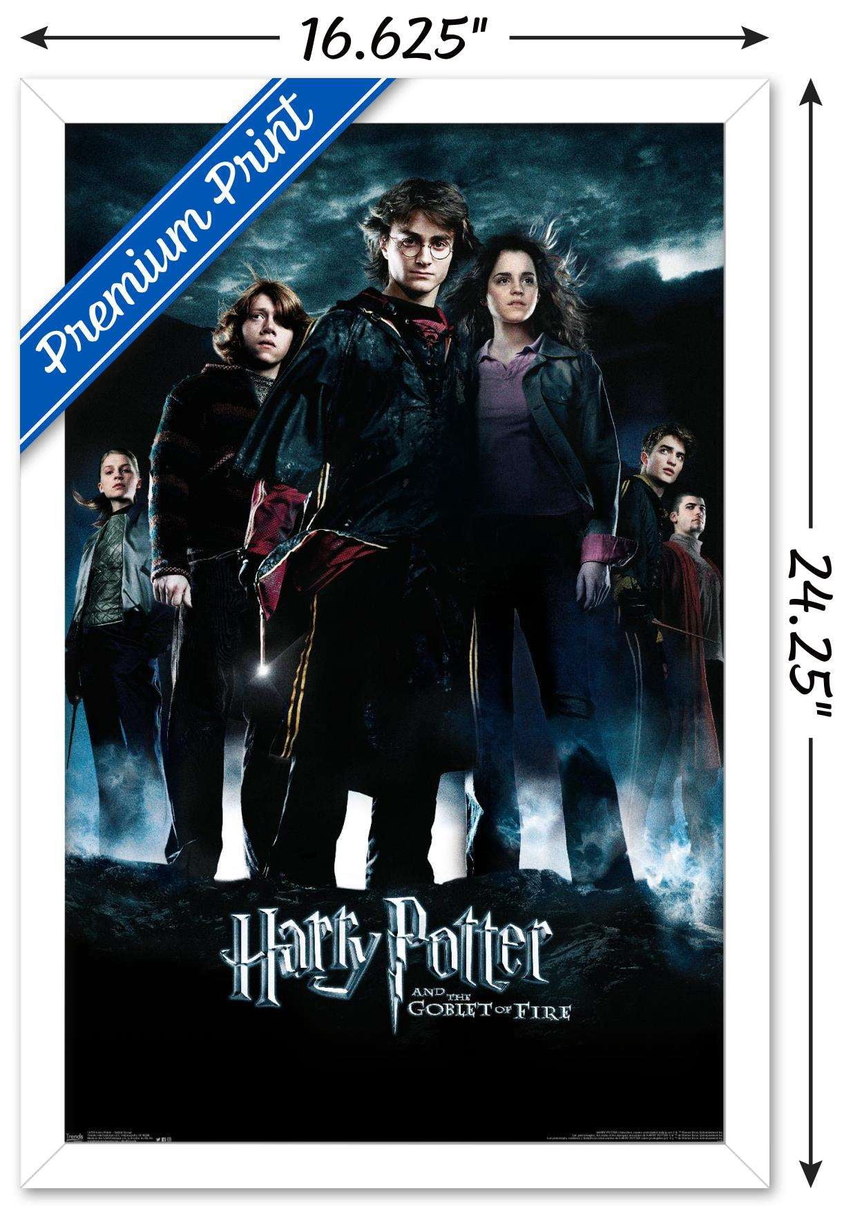 Harry Potter and the Goblet of Fire - Group One Sheet Wall Poster, 14.725" x 22.375", Framed