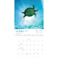 thumbnail image 4 of Pacifica Island Art, Hawaiian Sea Turtles 2025 Wall Calendar, 4 of 4