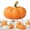 C, variant on 3.93x5.04 inch Ceramic Pumpkin,Small Ceramic Pumpkins,Porcelain Pumpkin Decor For Thanksgiving Fall Harvest Farmhouse Table Centerpiece, Mantel & Shelf Decor