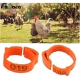 thumbnail image 1 of Paquete de 100 anillos ajustables para patas de pollo con clips para marcar aves de corral y anillos de granja y rancho (naranja), 1 of 5