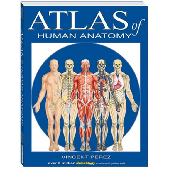 Pre-Owned Atlas of Human Anatomy (Paperback) 1423201728 9781423201724