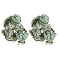 thumbnail image 3 of Artificial Reptile Plant, Non Fading Soft Texture Lifelike Plastic Plant Easy To Install Easy Care 2PCS With Suction Cup For Reptile Pet Nests For Fish, 3 of 8