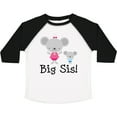 thumbnail image 3 of Inktastic Big Sis with Lil Bro Girls Sister Announcement Girls Toddler T-Shirt, 3 of 5