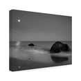 thumbnail image 2 of Aledanda 'Moonlit I' Canvas Art, 2 of 4