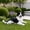 Black+White-2, variant on 16.93" Border Collie Dog Statue Outdoor Garden Decor,Lying Down Realistic Resin Puppy Figurine for Yard Lawn Path,Pet Memorial Gift,Black+White