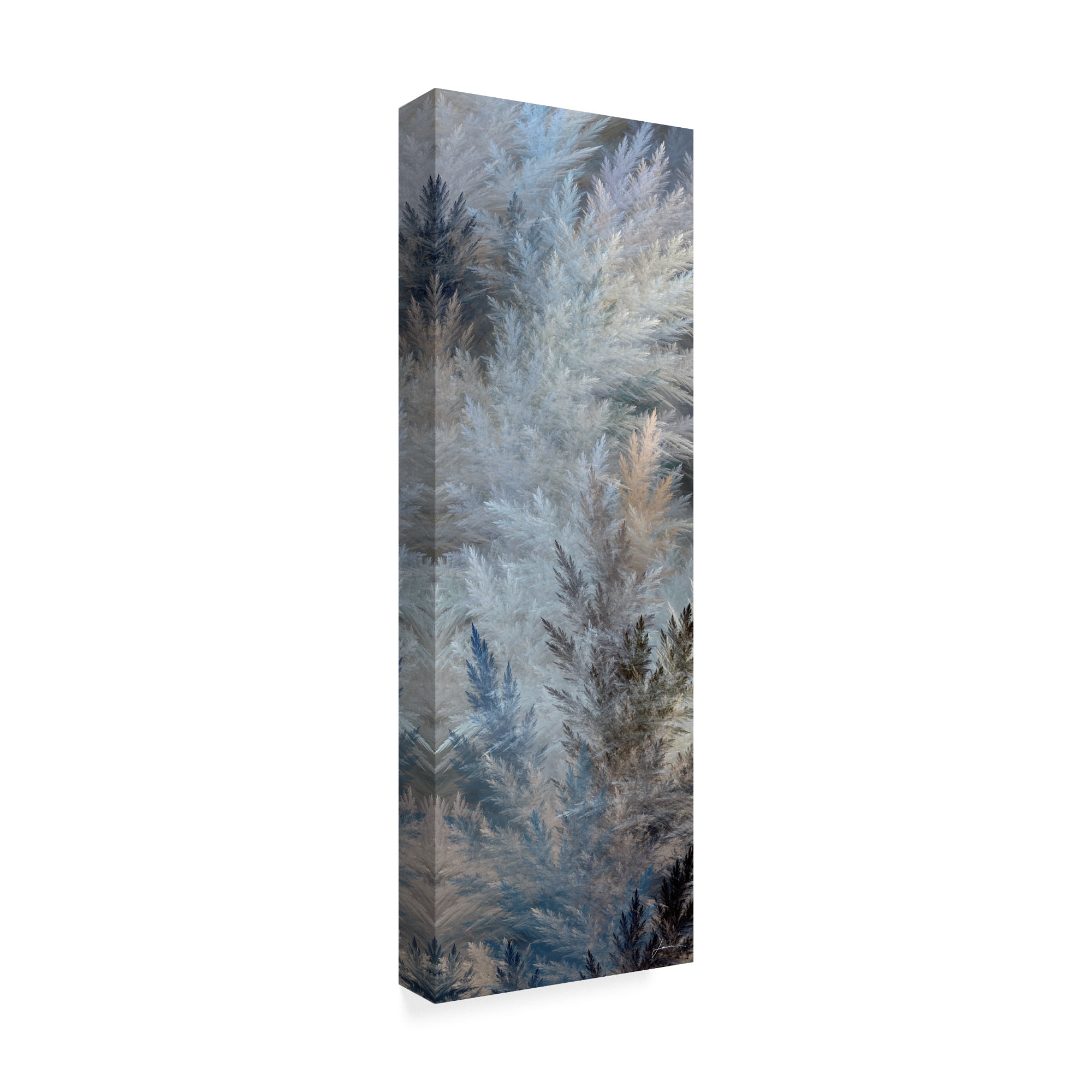 Trademark Fine Art '2-Up Pampas Panels II' Canvas Art by James Burghardt
