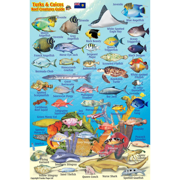 Franko Maps Turks & Caicos Mini Fish ID-Card