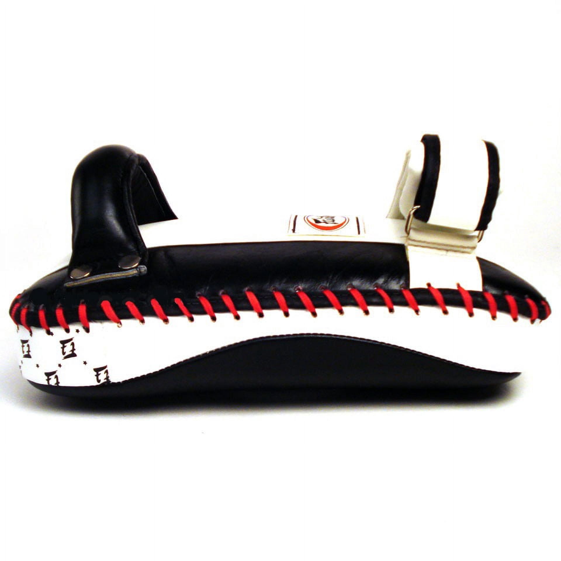 Fairtex Curved Kick Pads