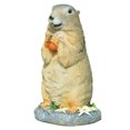 thumbnail image 1 of Adorable Marmot Ornament Micro Landscape Resin Animal Craft Creative Bonsai Decor, 1 of 6