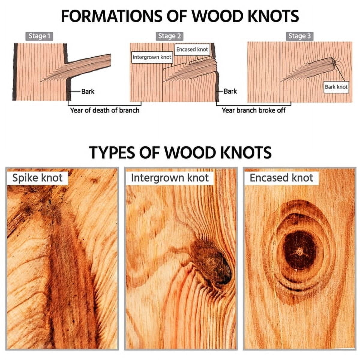 Set of 5 Outdoor Wood Garden Fence Garden Yard Border, Natural Wood
