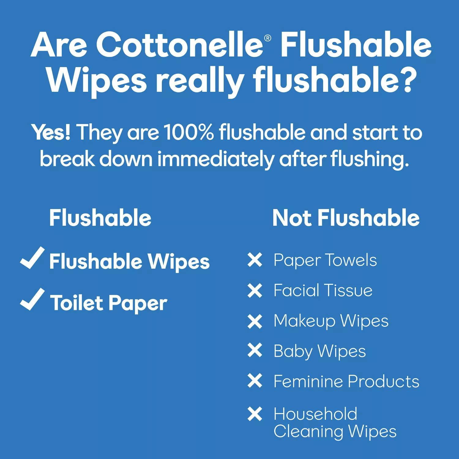 Cottonelle Flushable Wipes, #1 Flushable Wipe Brand, Alcohol-Free, Paraben-Free, Dye-Free, No Harsh Chemicals (504 ct.)