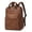 B-Brown, variant on Transparent PVC Daypack, Clear Backpack Security and Events, Large See-Through Stadium Bag, Waterproof Clear Backpack with Multiple Compartments, Durable and Stylish Clear Carryall