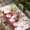 Red LightGreen LightPink, variant on Red Gnomes Table Cloths for 3 Foot Rectangle Tables, Valentine Roses Leaves Love Beige Rustic Patio Waterproof Elastic Fitted Tablecloths, Washable Rectangular Table Cover for Camping