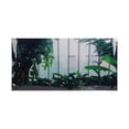thumbnail image 2 of Aquarium Poster,Aquarium Background Decoration PVC Fish Tank Decorative Picture Fish Tank Background Paper True Excellence, 2 of 14