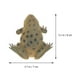 thumbnail image 2 of 4 juguetes de simulación de plástico con forma de sapo para niños y adultos (patrón variado)., 2 of 7