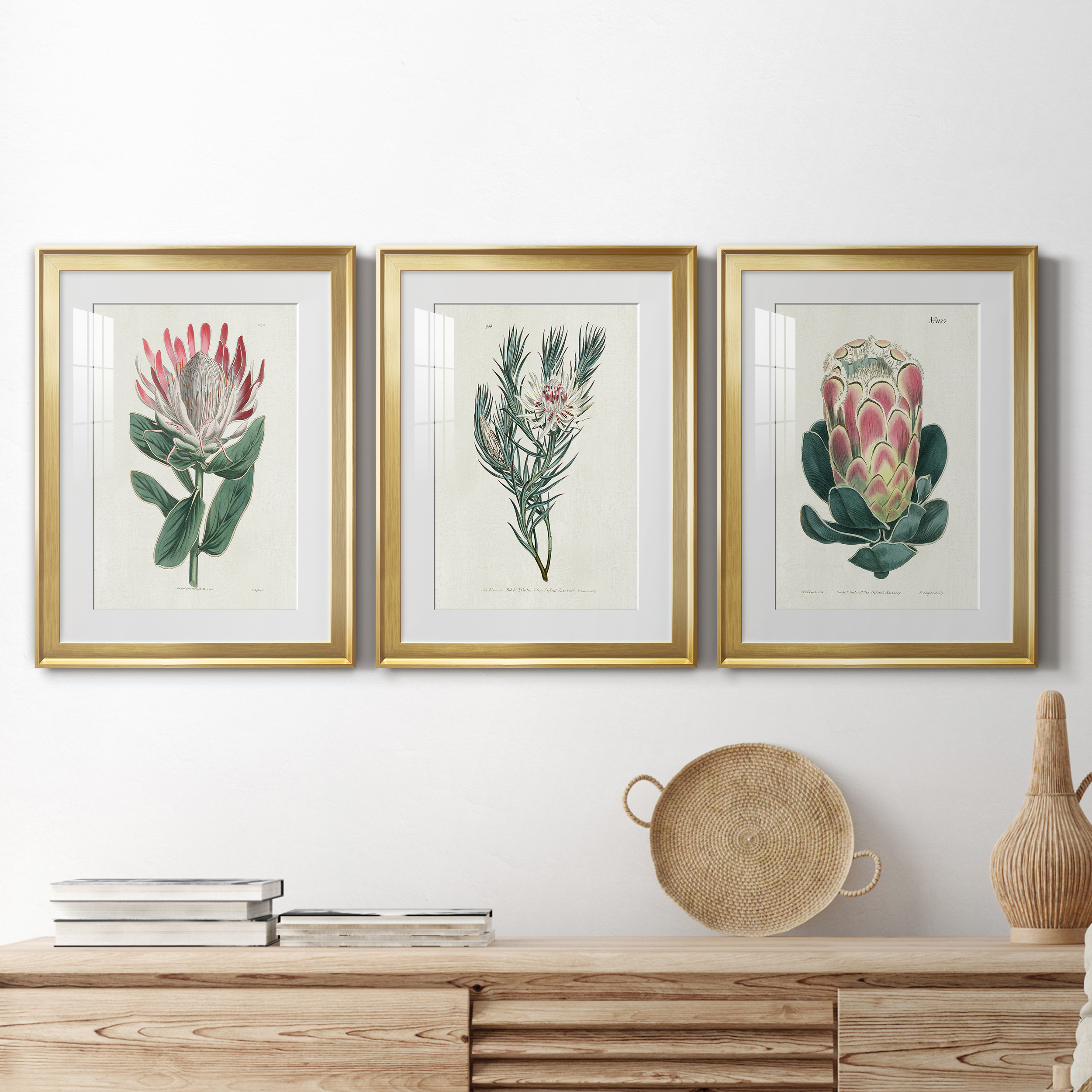 Protea N13 Premium Framed Prints Set of 3 - Ready to Hang - 22 x 30 Each - Gold Frame