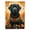 Black, variant on 15.5 x 11.25 in. Unisex Black Labrador Retriever Fall Garden Flag