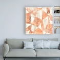 thumbnail image 3 of Trademark Fine Art 'Red Earth Textile II' Canvas Art by June Erica Vess, 3 of 3