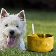 thumbnail image 3 of Cuenco Plegable para perros jinwen opciones multicolores cuenco extensible para perros plato para comer para mascotas Amarillo, 3 of 7
