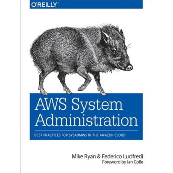 Pre-Owned AWS System Administration: Best Practices for Sysadmins in the Amazon Cloud Paperback