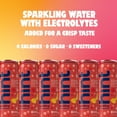 thumbnail image 3 of Hint Sparkling Water, Peach Raspberry - Canned Flavored Water Beverages with Electrolytes, Zero Calories, and Sugar Free - 12 Fl Oz Cans (Pack of 12), 3 of 6