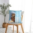 thumbnail image 5 of Pofeuu Funny Cat Taking a Bath Print Double-sided plush pillowcase Square Throw Pillow Covers Pillows Cover for Living Room Bedroom Sofa Couch Cushion Cover（No pillow core）-26"x26", 5 of 7
