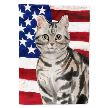 American Shorthair American Flag Garden