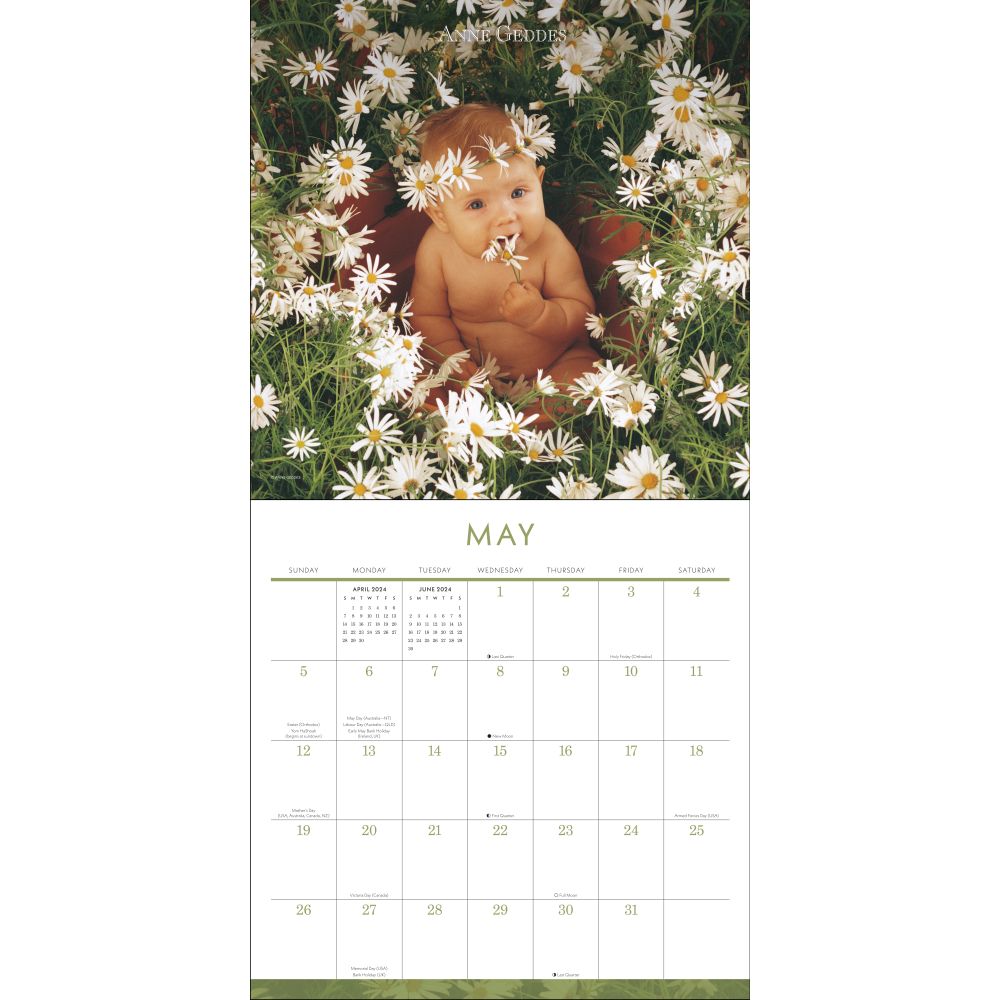 Anne Geddes 2024 Wall Calendar (Calendar) - image 4 of 4