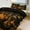 chudan-3, variant on Equation Formula Bedding Set with Zipper Closure for Girls & Boys