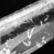 thumbnail image 4 of Película De Ventana 3D Que Cubre Calcomanías De Puerta De Vidrio De Adsorción Electrostática Para Cocina, 4 of 7