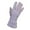 Beige, variant on Handy Glove Womens Touchscreen Gloves