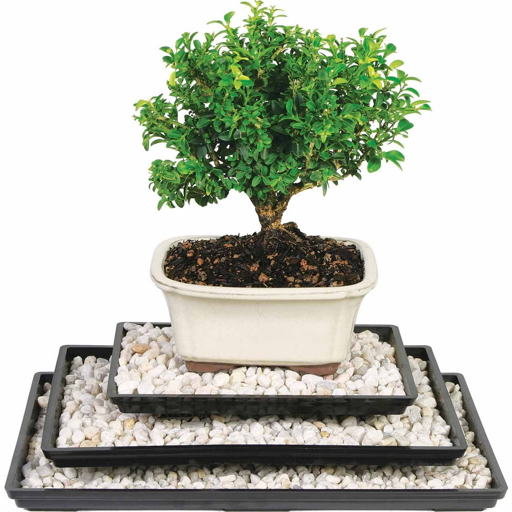 Humidity Trays, 8", 11" and 13"