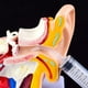 thumbnail image 5 of Limpiador de oídos Lavadora Jeringa Codo Tubo de goma Herramienta de eliminación de limpieza de cerumen Cera de riego de lavado, 1 pieza, Blanco Shizhi Boutique, 5 of 5