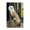 Barn Owl Perched_v1, variant on Stupell Industries Traditional Owl & Wild Blooms Canvas Art, 16 x 20, by Fab Funky