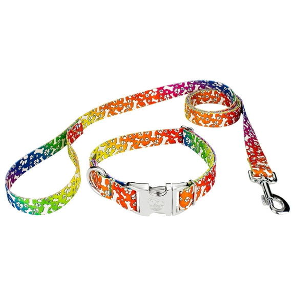 Country Brook Petz® Premium Trippy Doggo Dog Collar and Leash, Medium