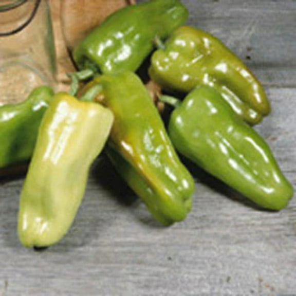 Pepper Cubanelle Seed, Untreated, 50 Seeds