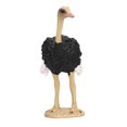thumbnail image 4 of Modèle d'Autruche Haute Simulation Collection de Figurines d'Animaux Sauvages Modèle Éducatif, 4 of 7
