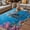 Gray, variant on Funny Diving Tiger Outdoor Rug for Patio/Deck/Porch, Non-Slip Large Area Rug 3 x 5 Ft, Ocean Sea Coastal Coral Fish Marine Life Indoor Outdoor Rugs Washable Area Rugs, Camping Rug Carpet Runner