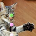 thumbnail image 2 of Jouet Interactif pour Chat Baguette Taquin Jouet pour Chats d'Intérieur, 2 of 10
