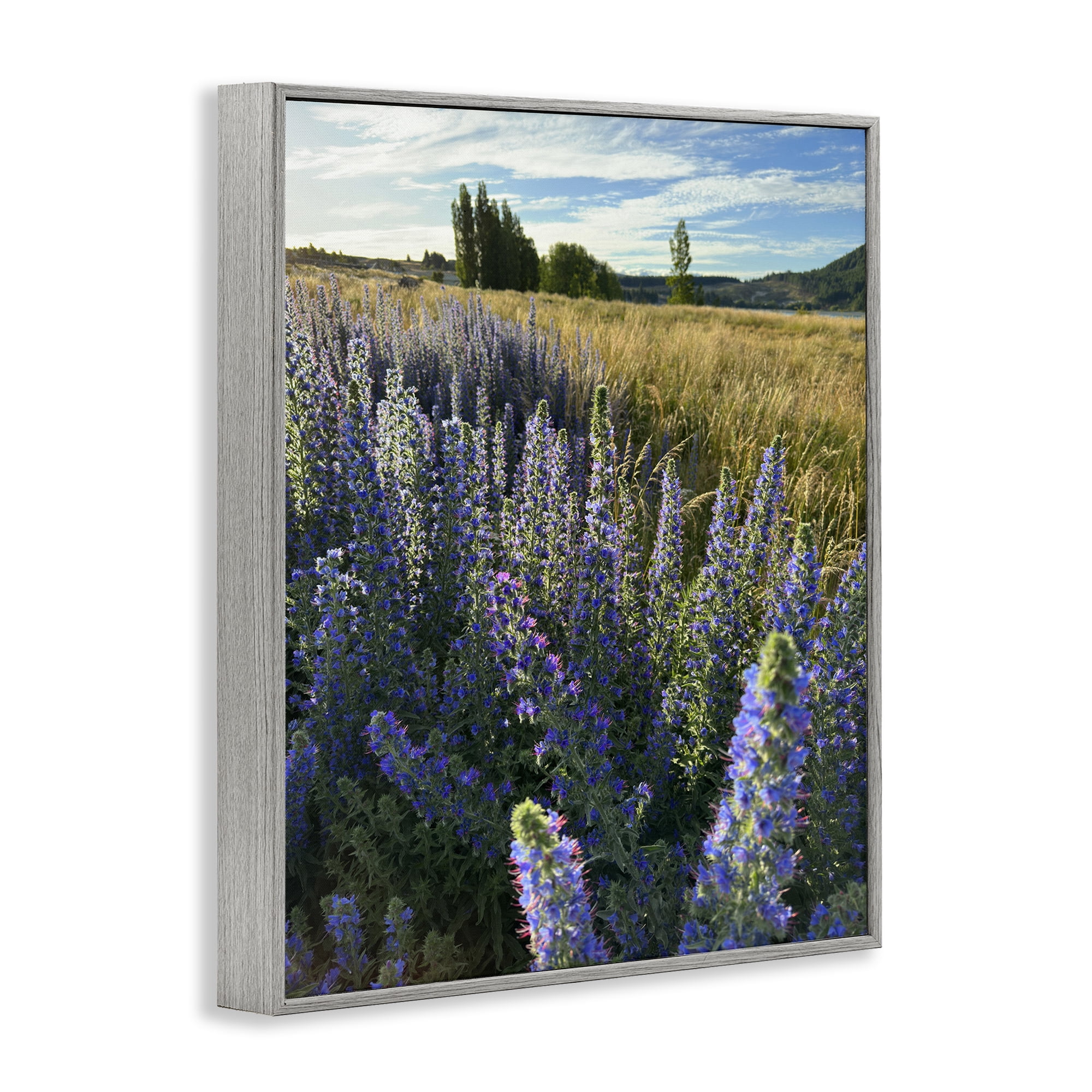 Stupell Industries Lavender Fields Landscape Landscape Photography Gray Framed Art Print Wall Art, 11 x 14