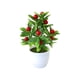 thumbnail image 5 of Plantas Artificiales Bewildely en Macetas Multicolor, 5 of 6