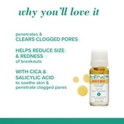 Burts Bees Natural Acne Solutions Spot Treatment-Oily Skin, 0.26 oz