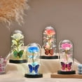 thumbnail image 5 of Rose Light Artificial Galaxy Rose Lamp with Butterfly LED Rose Flowers In Glass Chirstmas Wedding Valentine Gift for Girls Women, 5 of 5