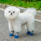 thumbnail image 5 of Calcetines para perros Ropa para mascotas A prueba de arañazos Lavables Transpirables Cómodos Calcetines para cachorros para interior y exterior, 5 of 5