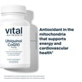 thumbnail image 3 of Vital Nutrients Ubiquinol CoQ10 100mg | Activated Form of Coenzyme Q10 | Potent Antioxidant to Support Cardiovascular and Brain Health | Gluten and Dairy Free | 60 Vegetarian Softgels, 3 of 5