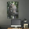 thumbnail image 5 of Luxe Metal Art 'Leopard Stare' by Jonathan Ross, Metal Wall Art, 24"x36", 5 of 9