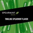 thumbnail image 5 of 5 GUM Spearmint Rain Sugarfree Gum, 35 Sticks, Pack of 6, 5 of 7