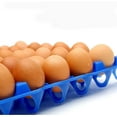 thumbnail image 1 of Plastic Egg Trays For 30 Pieces Eggs Eggs Storage Trays, 1 of 4