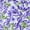 Purple, variant on Agnes Orinda Women's Plus Size Babydoll Tops V Neck 3/4 Lantern Sleeves Floral Shirts Peplum Blouses 2X Pink